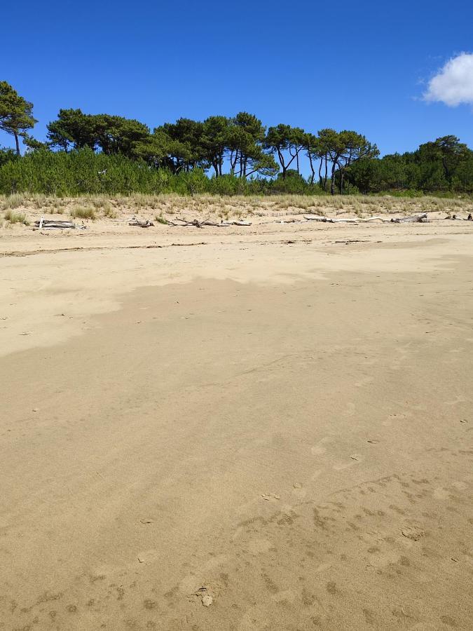 Idealement Situe, Tout A Pied, 60M2 Saint-Georges-de-Didonne Kültér fotó