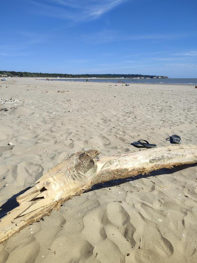 Idealement Situe, Tout A Pied, 60M2 Saint-Georges-de-Didonne Kültér fotó
